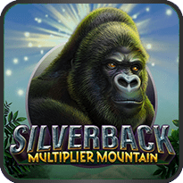 SILVERBACK multiplier mountain